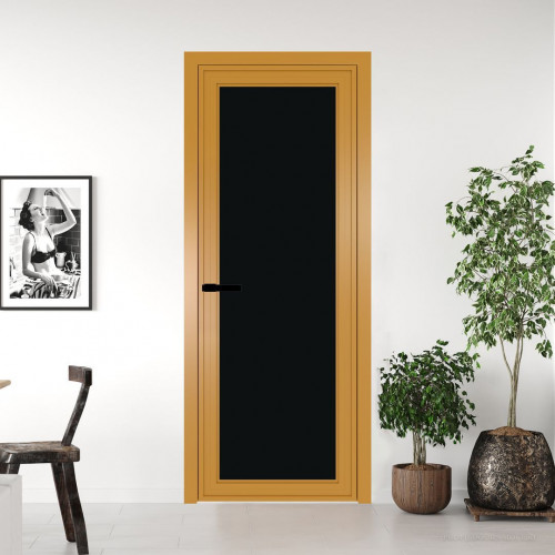 Межкомнатная дверь ProfilDoors 1 AGP Монохром черный триплекс профиль Золото Без рисунка