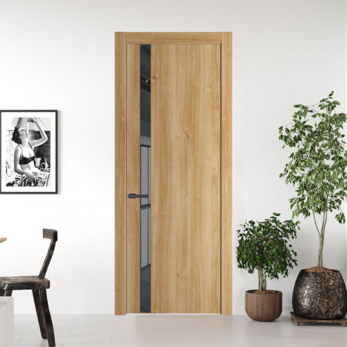 Межкомнатная дверь ProfilDoors 18 NW Дуб Карамель молдинг Серая ночь стекло Зеркало Grey