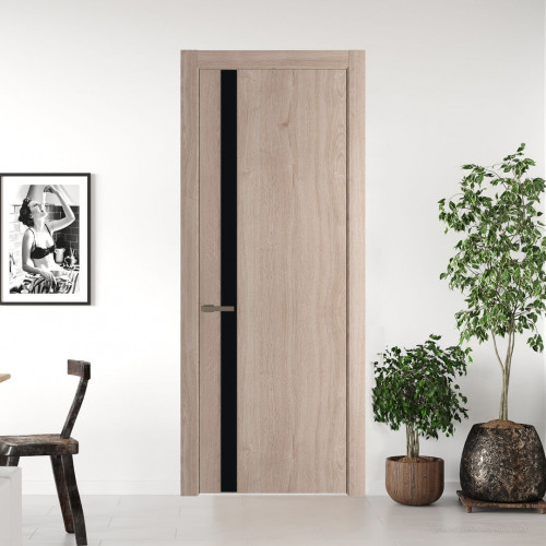 Межкомнатная дверь ProfilDoors 18 NW Дуб Сонома молдинг Шампань стекло Монохром черный