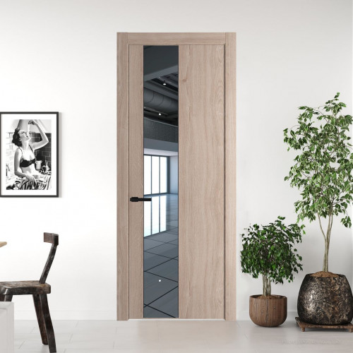 Межкомнатная дверь ProfilDoors 19 NW Дуб Сонома молдинг Черный матовый стекло Зеркало
