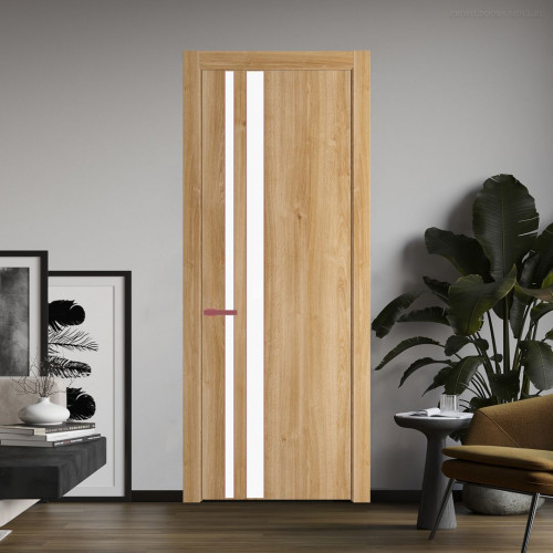 Межкомнатная дверь ProfilDoors 20 NW Дуб Карамель молдинг Красный антрацит стекло Монохром белый просветленный