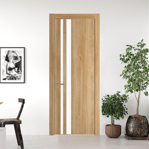 Межкомнатная дверь ProfilDoors 20 NW Дуб Карамель молдинг Никель матовый стекло Монохром белый просветленный