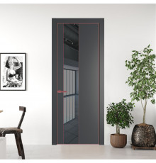 19 PA Графит с профилем Красный антрацит с стеклом  зеркало grey