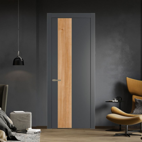 Межкомнатная дверь ProfilDoors 19 PW Графит Дуб Карамель молдинг Шампань