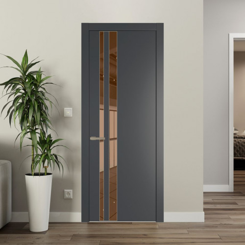 Межкомнатная дверь ProfilDoors 20 PW Графит Зеркало Bronza молдинг Никель матовый
