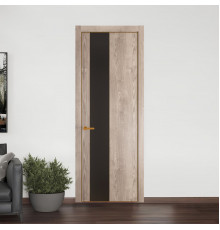 19 NE.O Дуб Сонома вставка Монохром графит кромка Бронза ProfilDoors Orange