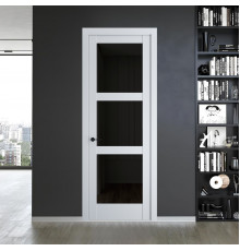 5.3.2 PD.O Вайт стекло Черное тонированное ProfilDoors Orange